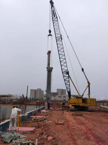 ������ӯ�����Ŀ��ɵ�һ��Ԥ������װ 