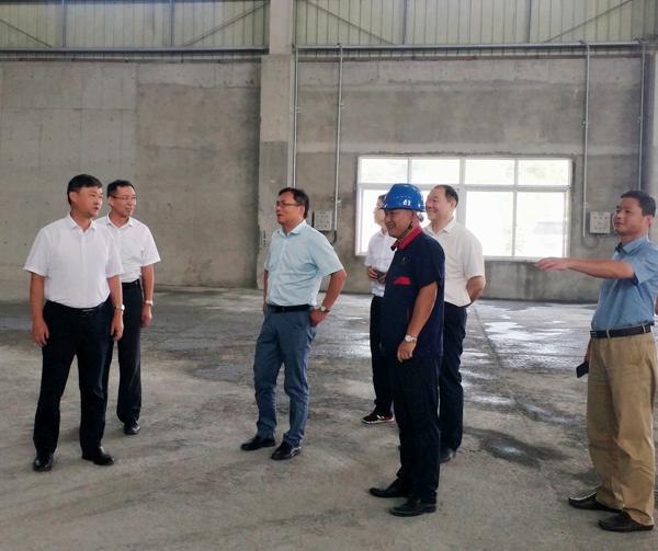 ���Ź�˾��ίίԱ���ɷݹ�˾��ί��ǡ���˾�����������ʯ��Ŀ��...